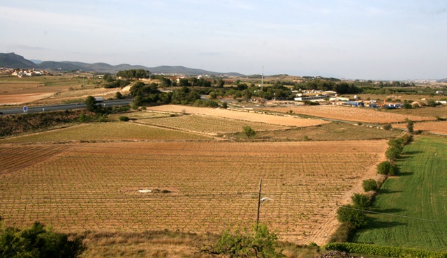 Terrenys on es preveu localitzar el CIM Penedès, al costat de Banyeres