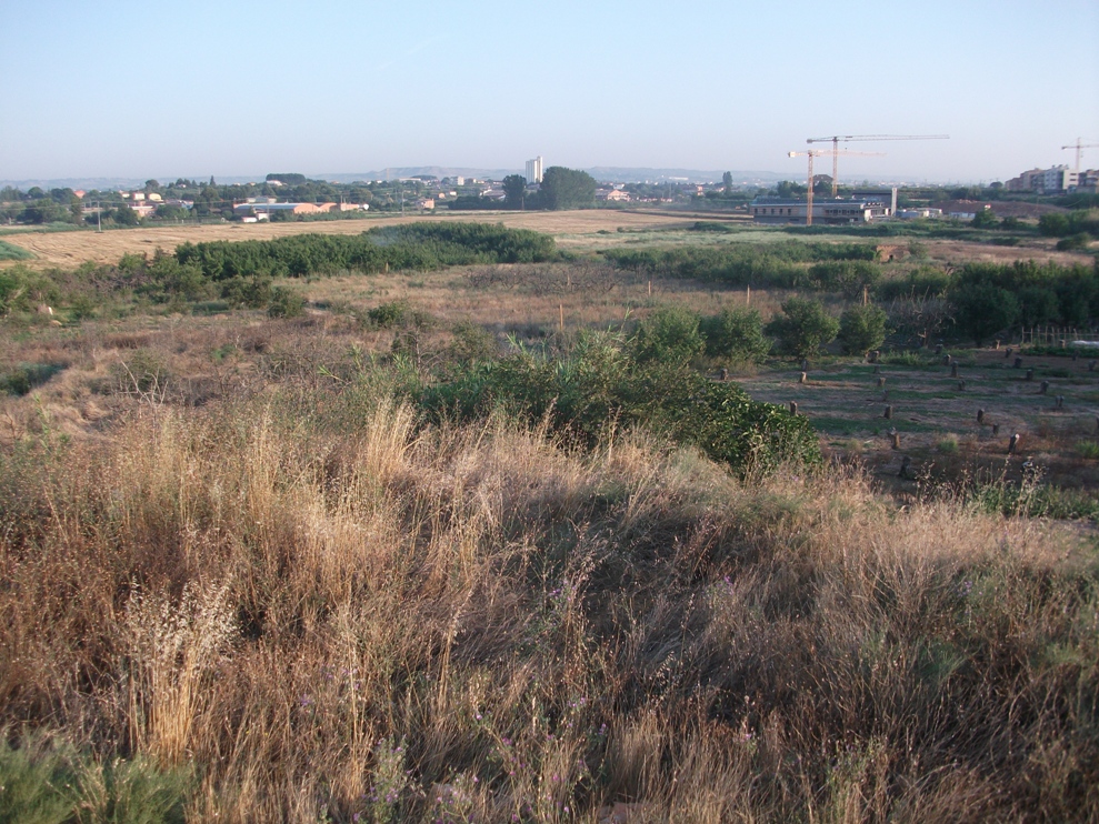 Terrenys del sector SUR 19A de Balàfia Foto: Josep Ramon Mòdol