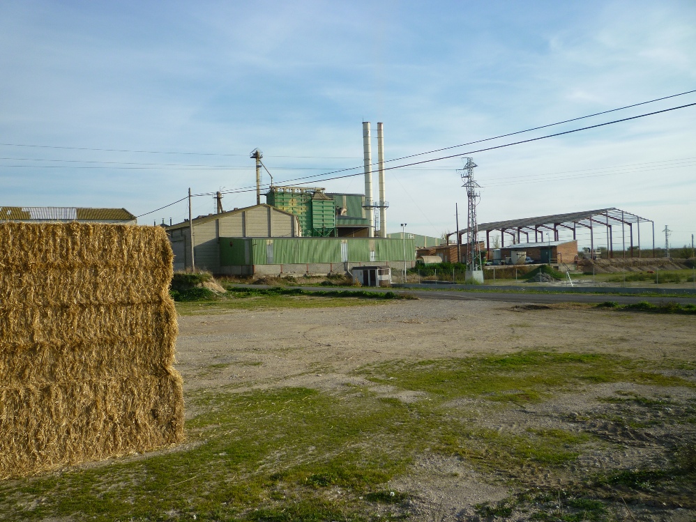 Cooperativa d'Ivars d'Urgell Foto: Moisès Jordi