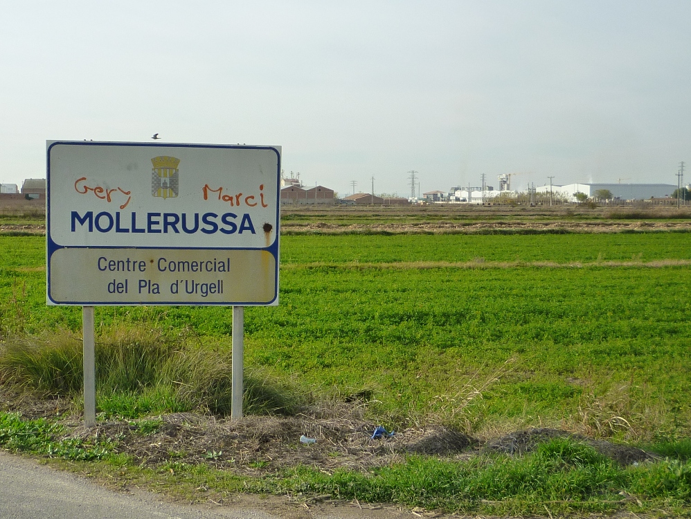 Entrada de Mollerussa per la carretera de Vila-sana Foto: Moisès Jordi