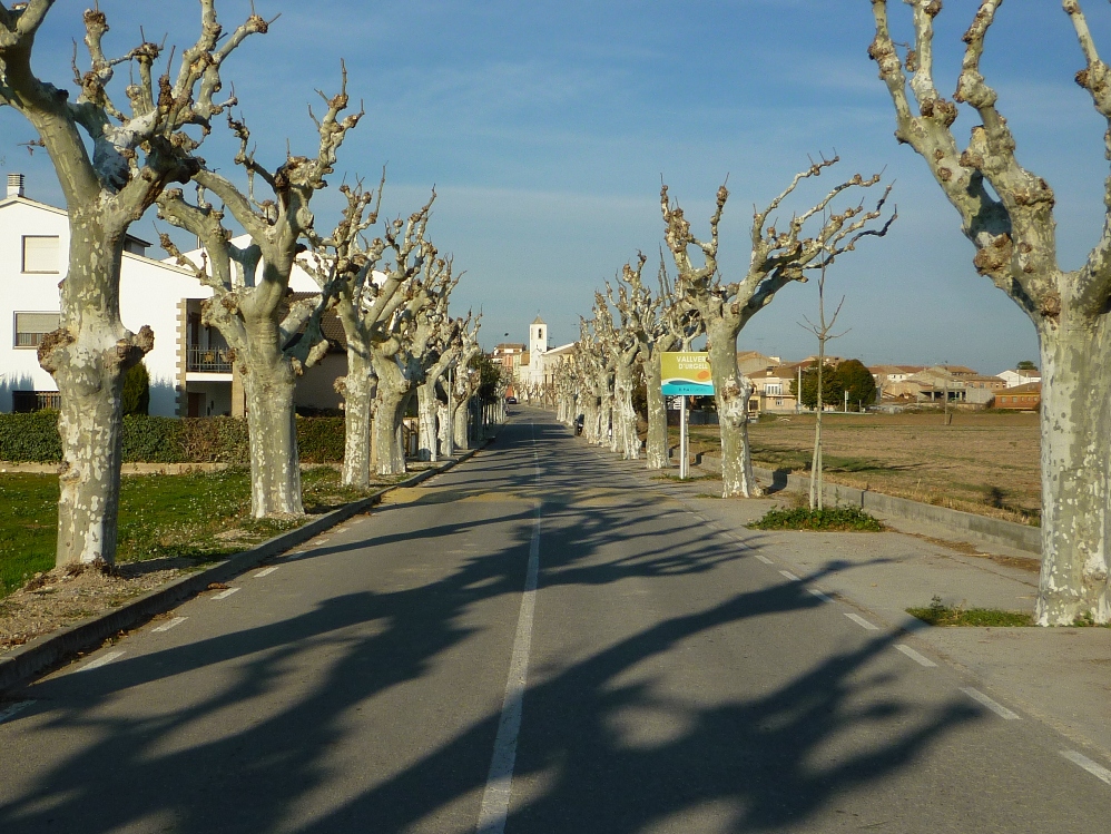El nucli de Vallverd tenia assignada una estratègia de creixement moderatFoto: Moisès Jordi