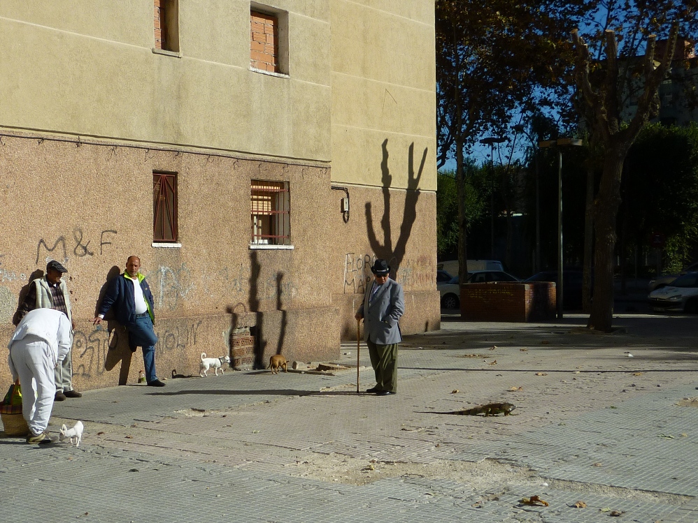 Un detall de la plaça de Sant Roc Foto: Moisès Jordi