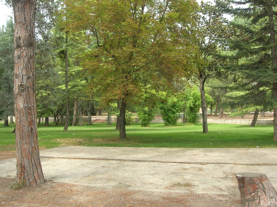 Zona enjardinada dins el parc de les Basses Foto: Josep Ramon Mòdol