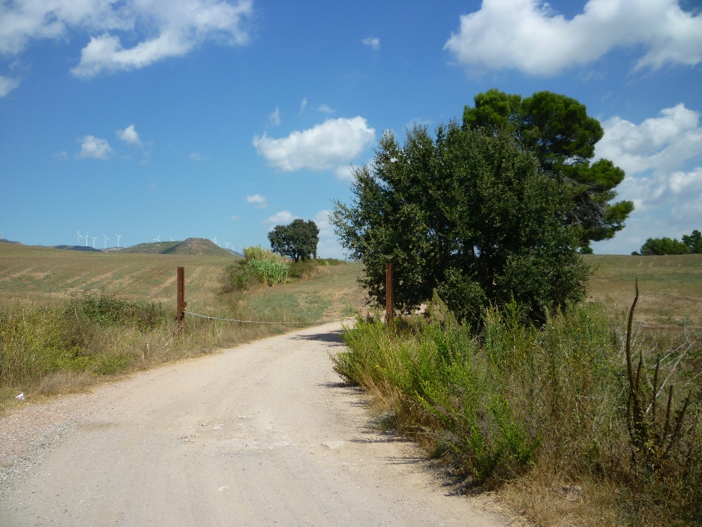 Sector de Can Morera, amb el parc eòlic Serra de Rubió al fons Foto: MoisèsJordi