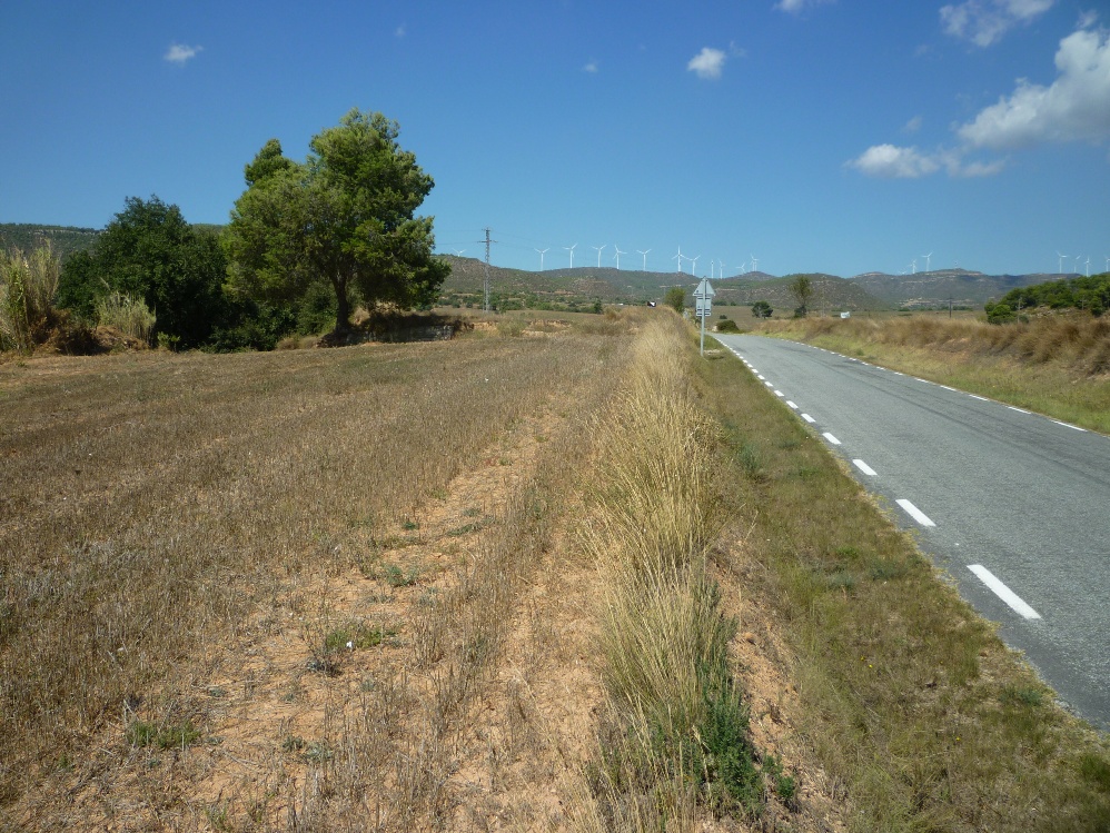 Sector de Can Morera, al costat de la BV-1031 Foto: Moisès Jordi