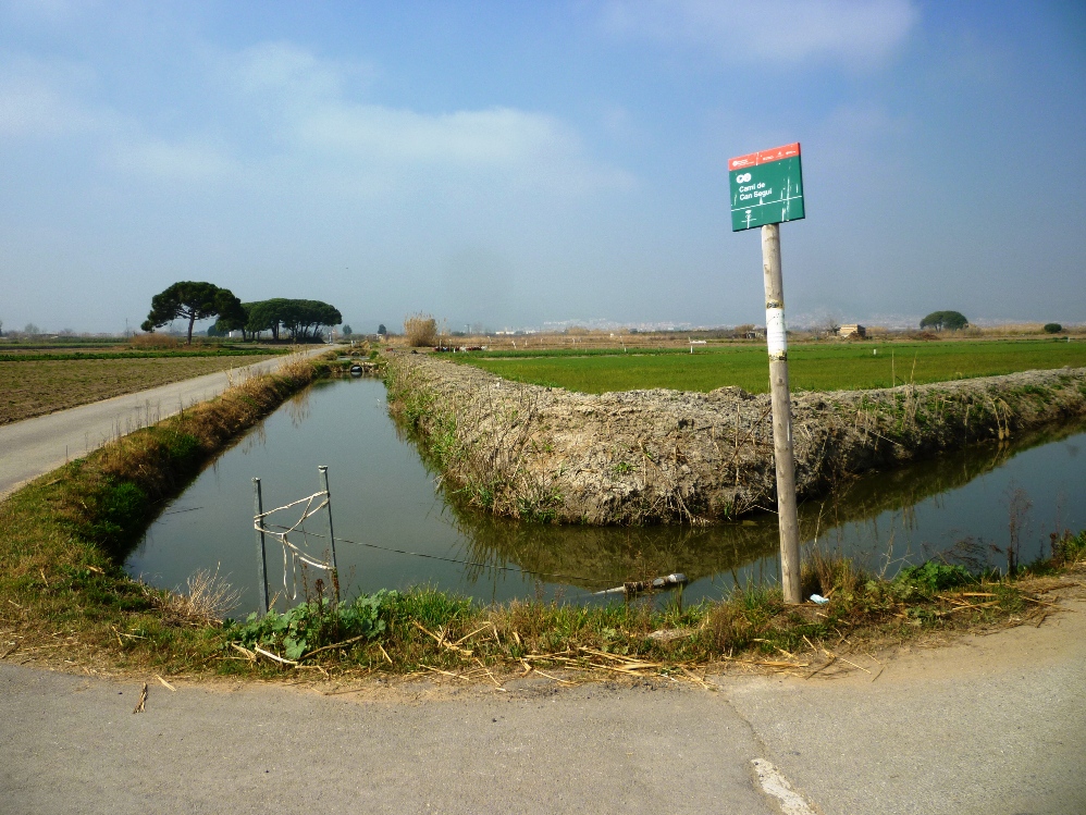 Terrenys agrícoles al sector dels Reguerons de Viladecans,que podrienresultar afectats per Eurovegas Foto: Moisès Jordi