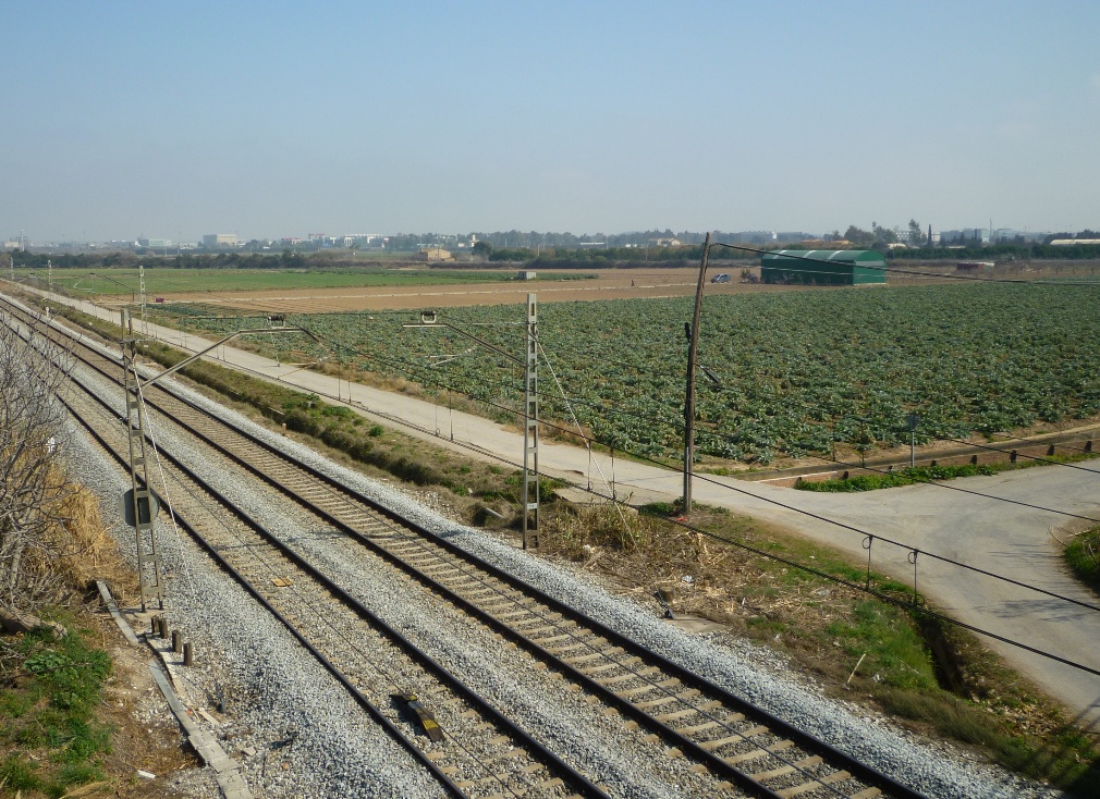 Terrenys del Parc Agrari a Sant Boi de Llobregat Foto: Moisès Jordi