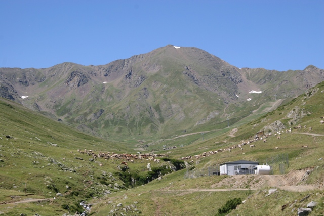 La muntanya de Fili� (Torre de Cabdella) era una de les possibles zones
d'ampliaci� del Parc Foto: �lex Tarroja