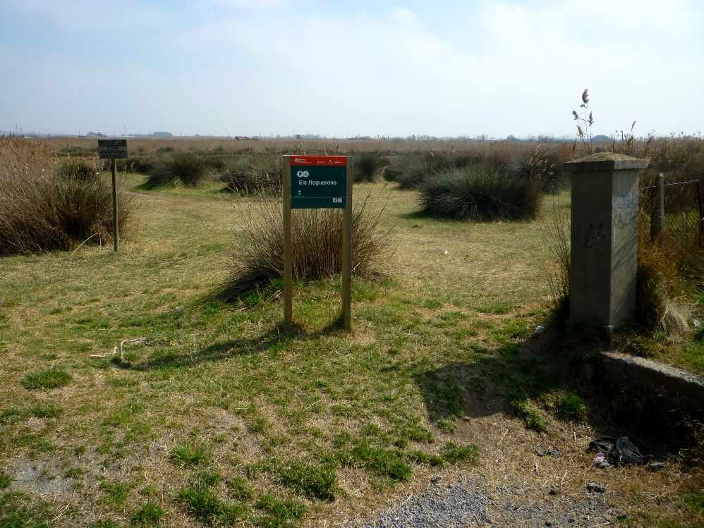 Sector dels Reguerons, propietat del Bar�a, al Parc Agrari del Baix
Llobregat Foto: Mois�s Jordi