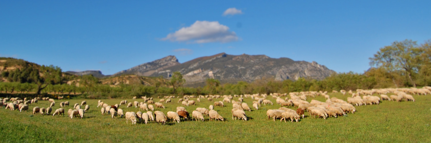 Sin título Sin título